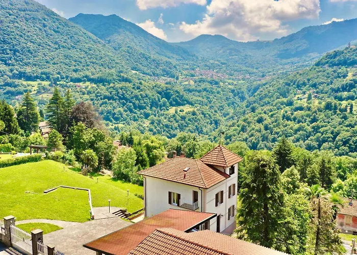 Oleandra - Dizzasco
