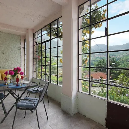 Oleandra -