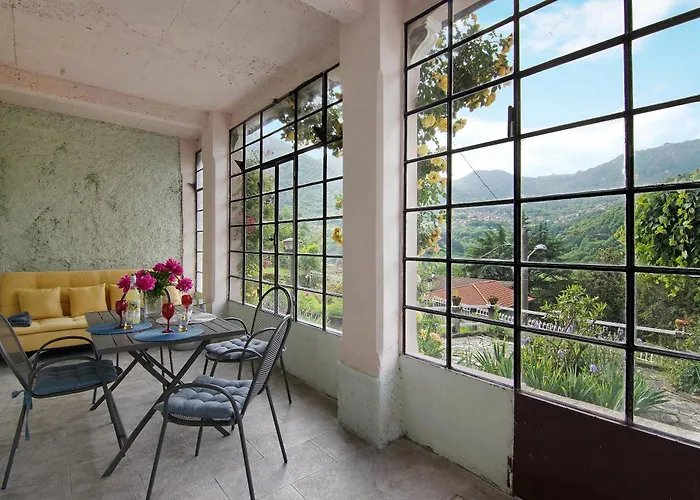 Oleandra -